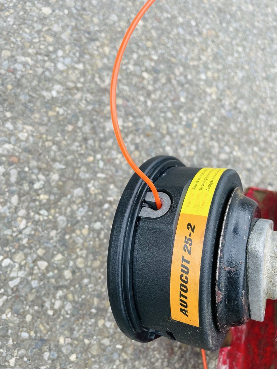 Stihl Tutti gli attrezzi: Rasentrimmer Stihl FS 250 – Usato da Würenlos venduto da Shop_Shop 8