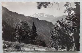 Rest. de Sonchaud s. Montreux