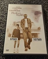 Perfect World (21543)