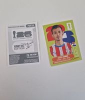 Panini Sticker PAR12