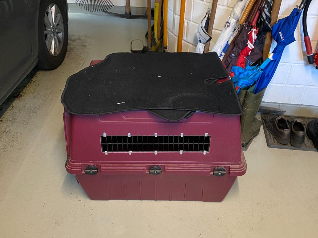 Gabbie, trasporto & Sicurezza: Hunde-Transportbox – Usato da Bettwiesen venduto da Drenny 1