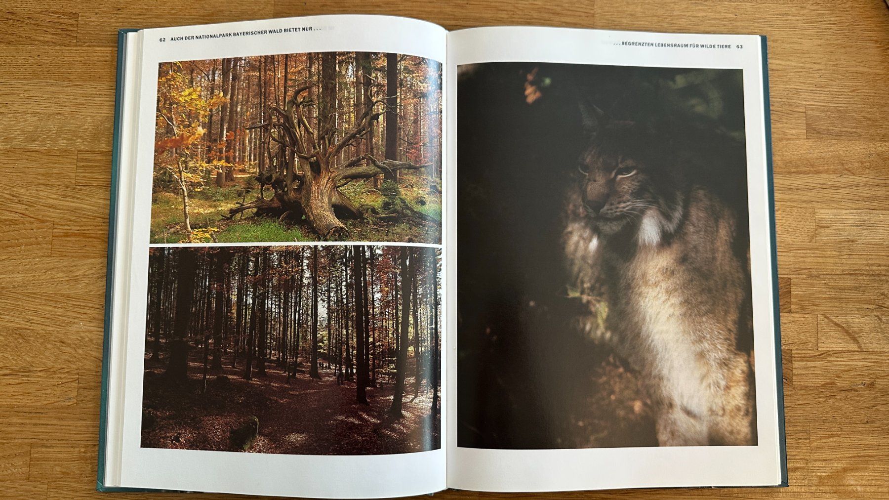 Libri: Buch - Deutschlands Nationalparks – Usato da Winterthur venduto da Secondhand-Family 5