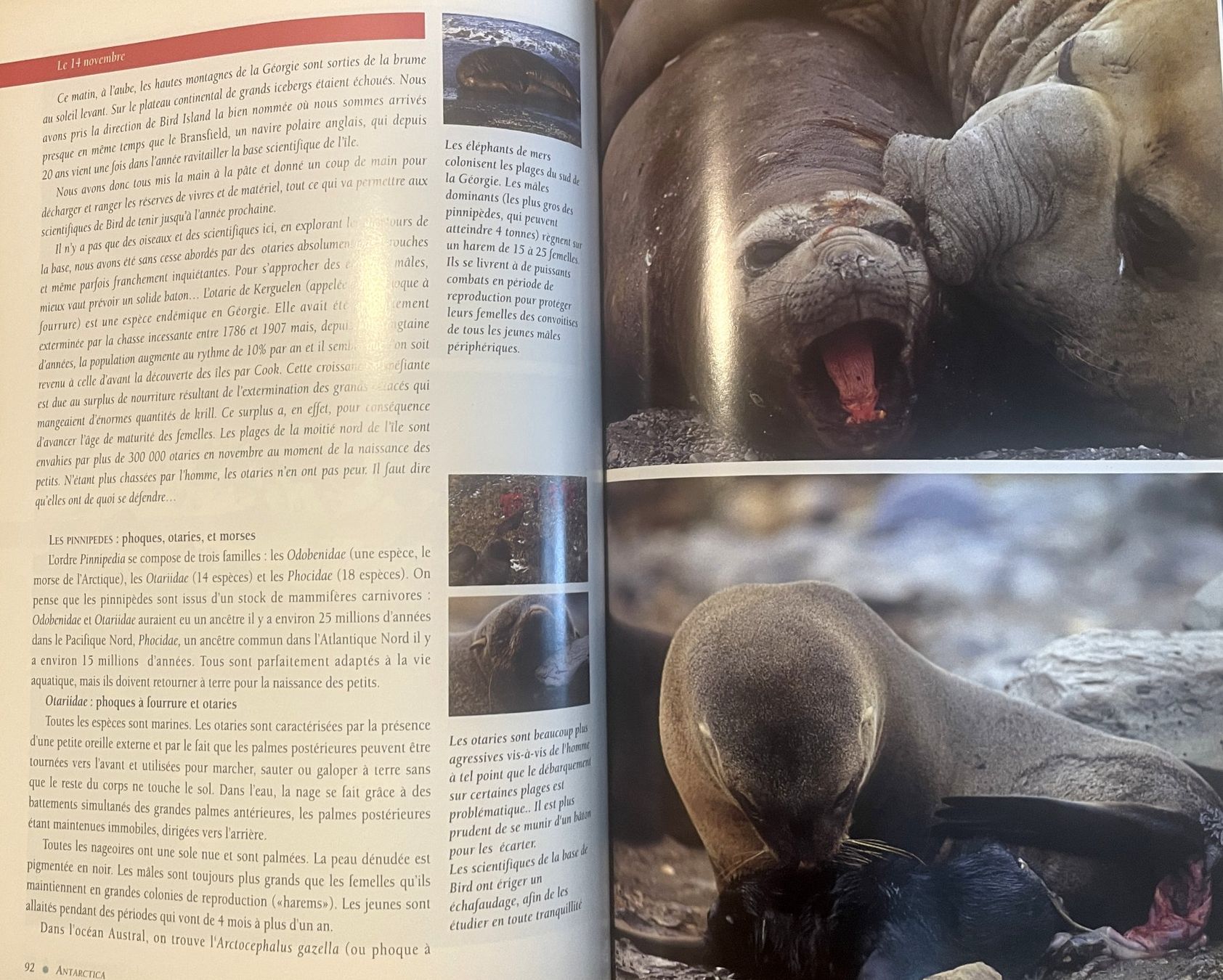 Libri: Antarctica - Une aventure dans les mers australes / Etienne – Usato da Savagnier venduto da Ne2065 7