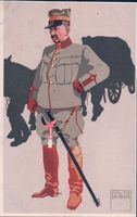 Schweizer Armee, Felduniform Lieutenant du Train (2106)