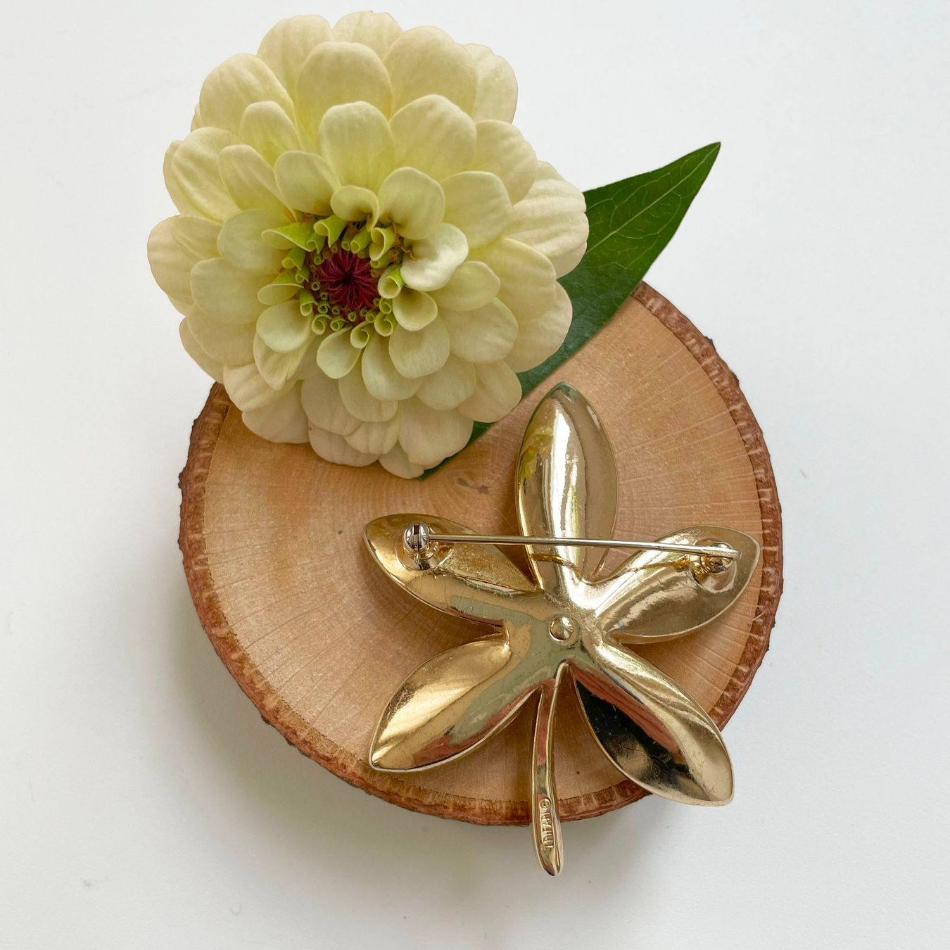 Spille & Fermagli: Brosche TRIFARI Blatt mit Strass-Stein VINTAGE 1970s – Usato da Brüttisellen venduto da Buxus 2