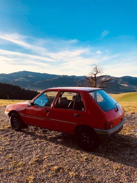 PEUGEOT 205 Kaufen auf Ricardo