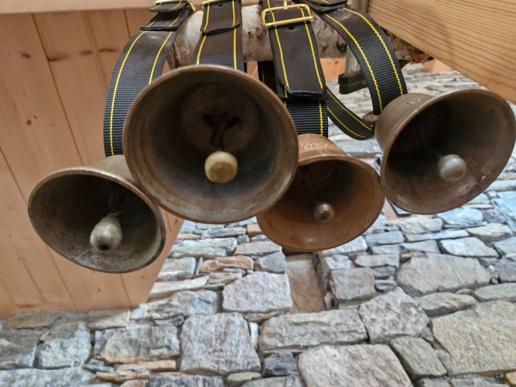 Campanacci mucche: Glocken Treicheln – Usato da Guarda venduto da rue_bpd7 2