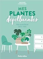 Mes plantes dépolluantes pour un intérieur zen et frais