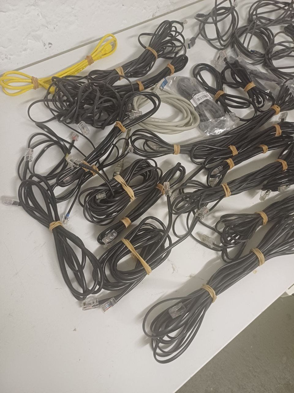 Cavi: Netzwerkkabel, 30 Stück. – Usato da Bern venduto da Yunkom 4