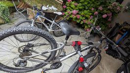 Mountainbike Trek