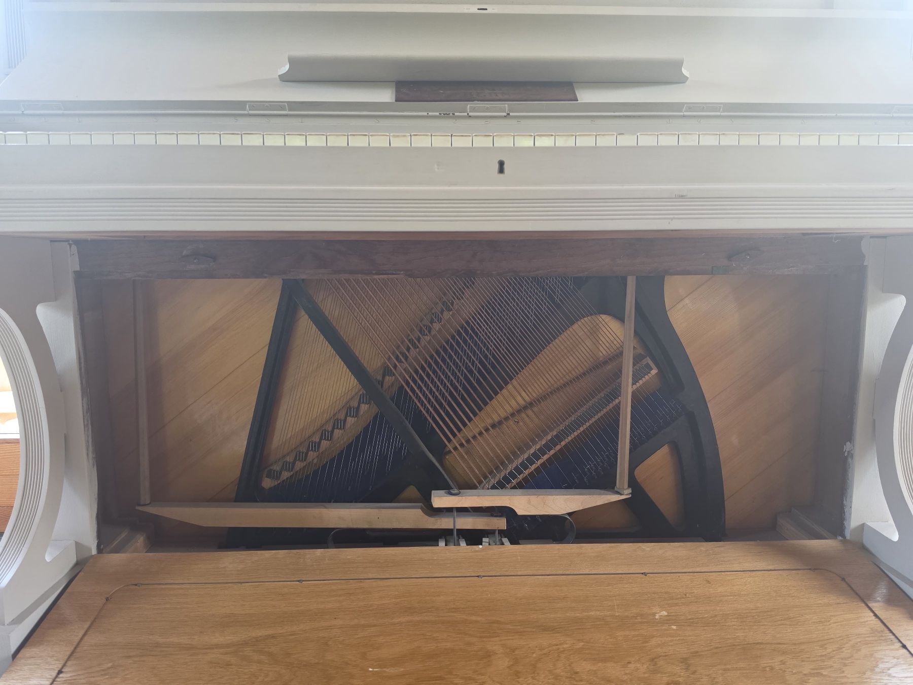 Schmidt-Flohr Musikinstrumente: Piano Schmidt Flohr révisé – Gebraucht aus Troistorrents von man_xc78 2