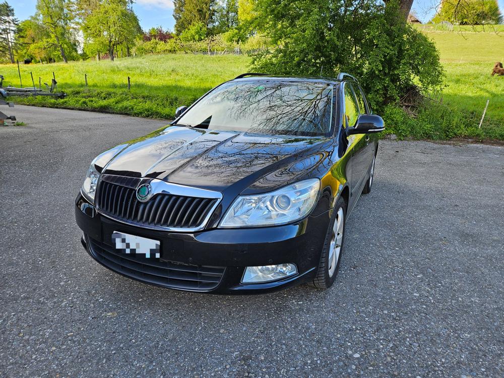 Skoda Octavia 1.8 TSI, MFK 01.24, Service 03.24