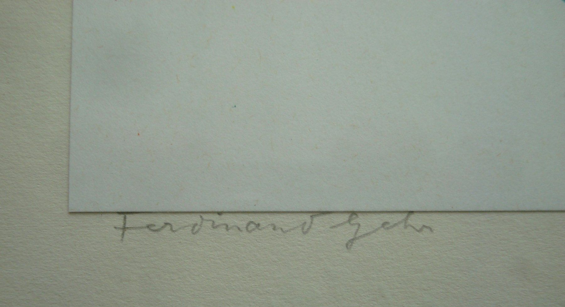 Grafica & Litografie: Ferdinand Gehr 1896 - 1996, Blumen, handsigniert – Usato da Oberdorf NW venduto da Lufao 3