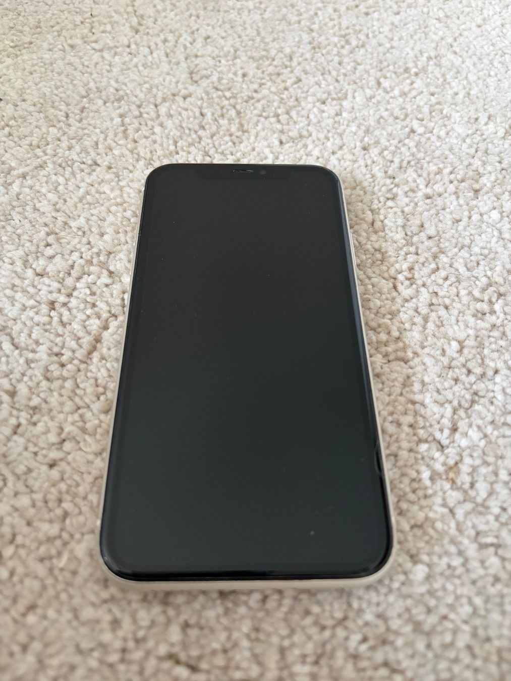 Apple Telefoni cellulari / Smartphones: iPhone 11 64GB Weiss – Usato da Fislisbach venduto da wow03 3