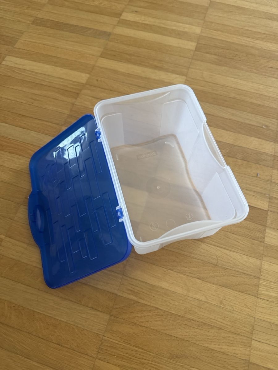 Contenitori & Simili: Aufbewahrungsbox transparent mit blauem Deckel – Usato da Zürich venduto da Hugsy30 2