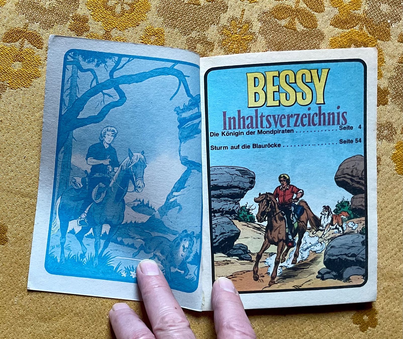 Fumetti: Bessy Taschenbuch Nr 17 – Usato da Endingen venduto da nathan05 2