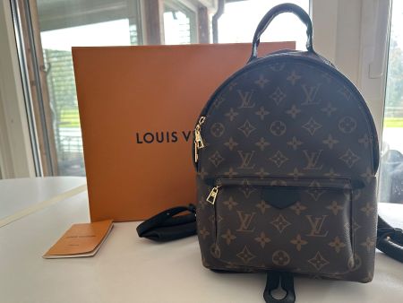 Louis Vuitton Palm Springs PM Rucksack