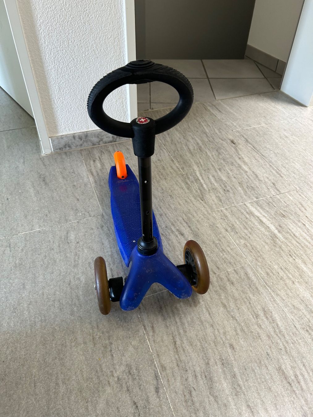 Kickboard: Kickboard blau – Usato da Schwyz venduto da lookatit 1
