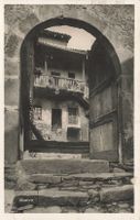 Morivo ticinese
