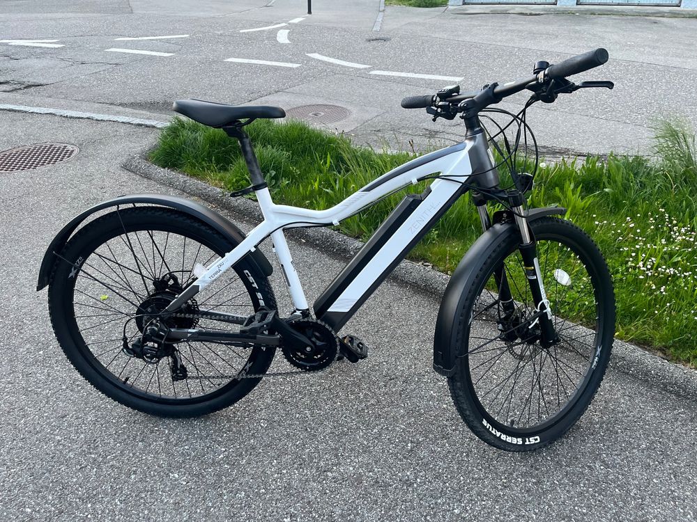 Zenith EBike Kaufen auf Ricardo