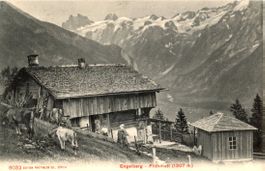 Flühmatt   OW  bei Engelberg        um 1907