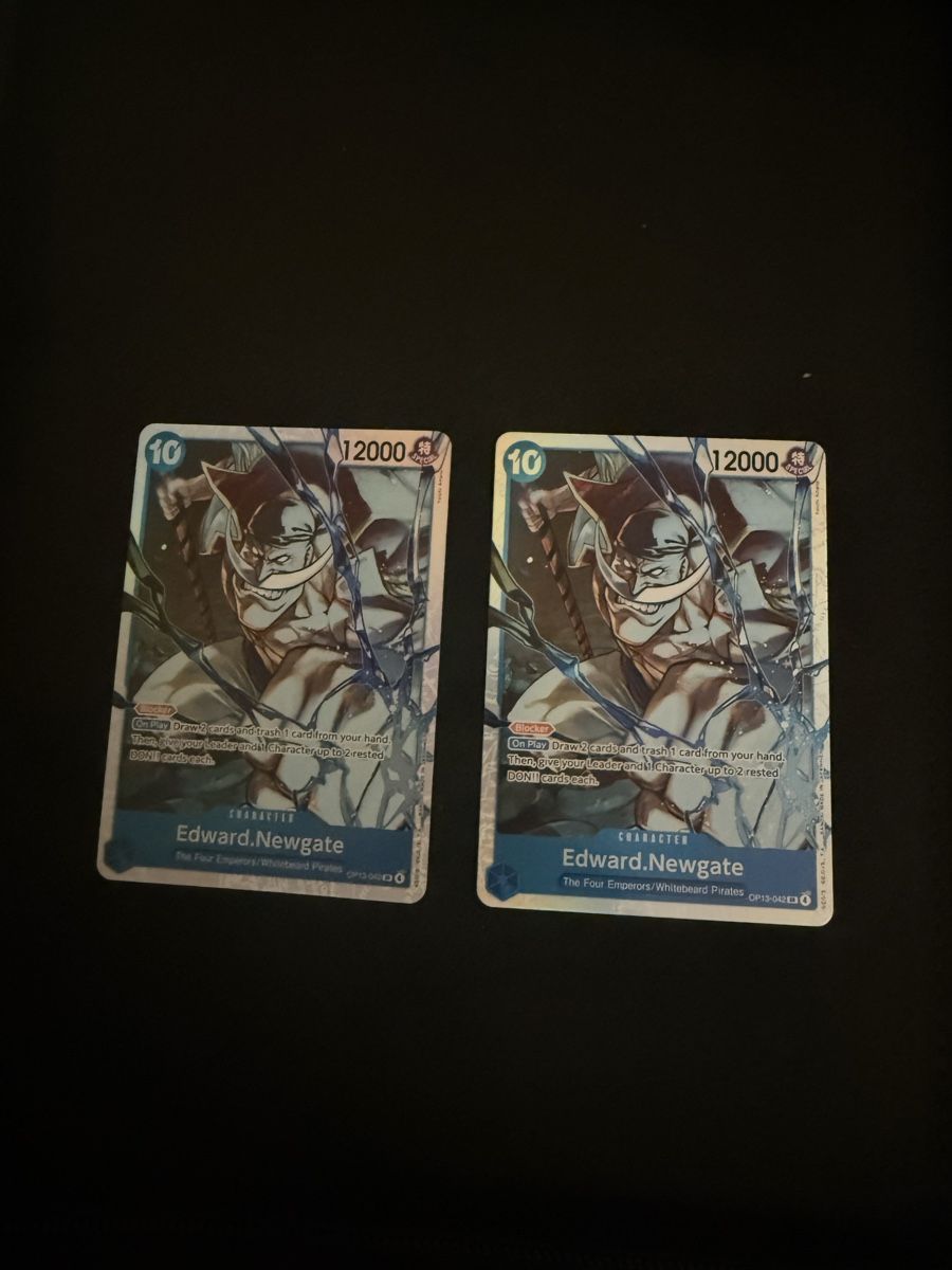 Bandai Carte collezionabili: One piece Newgate OP13 2x – Nuovo (secondo la descrizione) da Horgen venduto da haz_8ldx