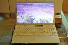 Laptop Sony Vaio PCG-71911M mit Windows 10 +Zubehör
