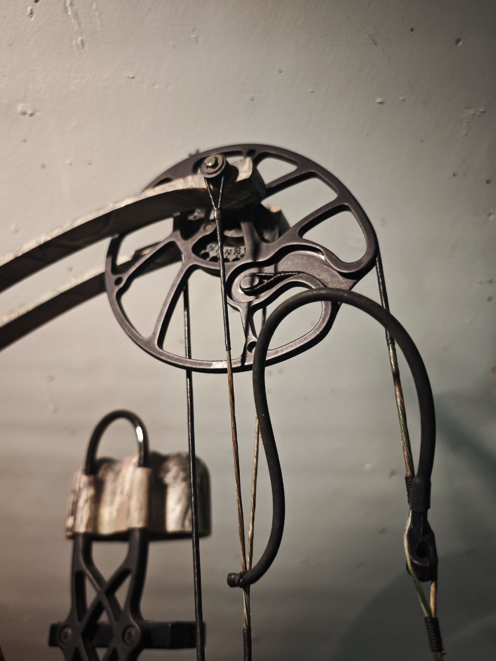 Hoyt Tiro con l'arco: Compoundbogen Hoyt Ignite Camo Set mit Tasche gebraucht – Usato da Wolhusen venduto da and_vjk8 7
