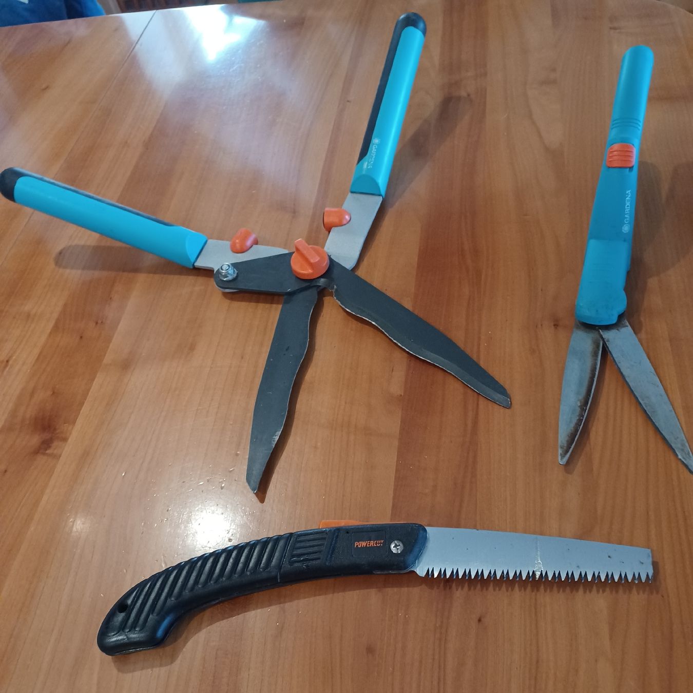 Gardena Tous les outils: Rasenschere , Heckenschere , Handsäge  Gardena – D'occasion à Waldkirch par Fantasia-101