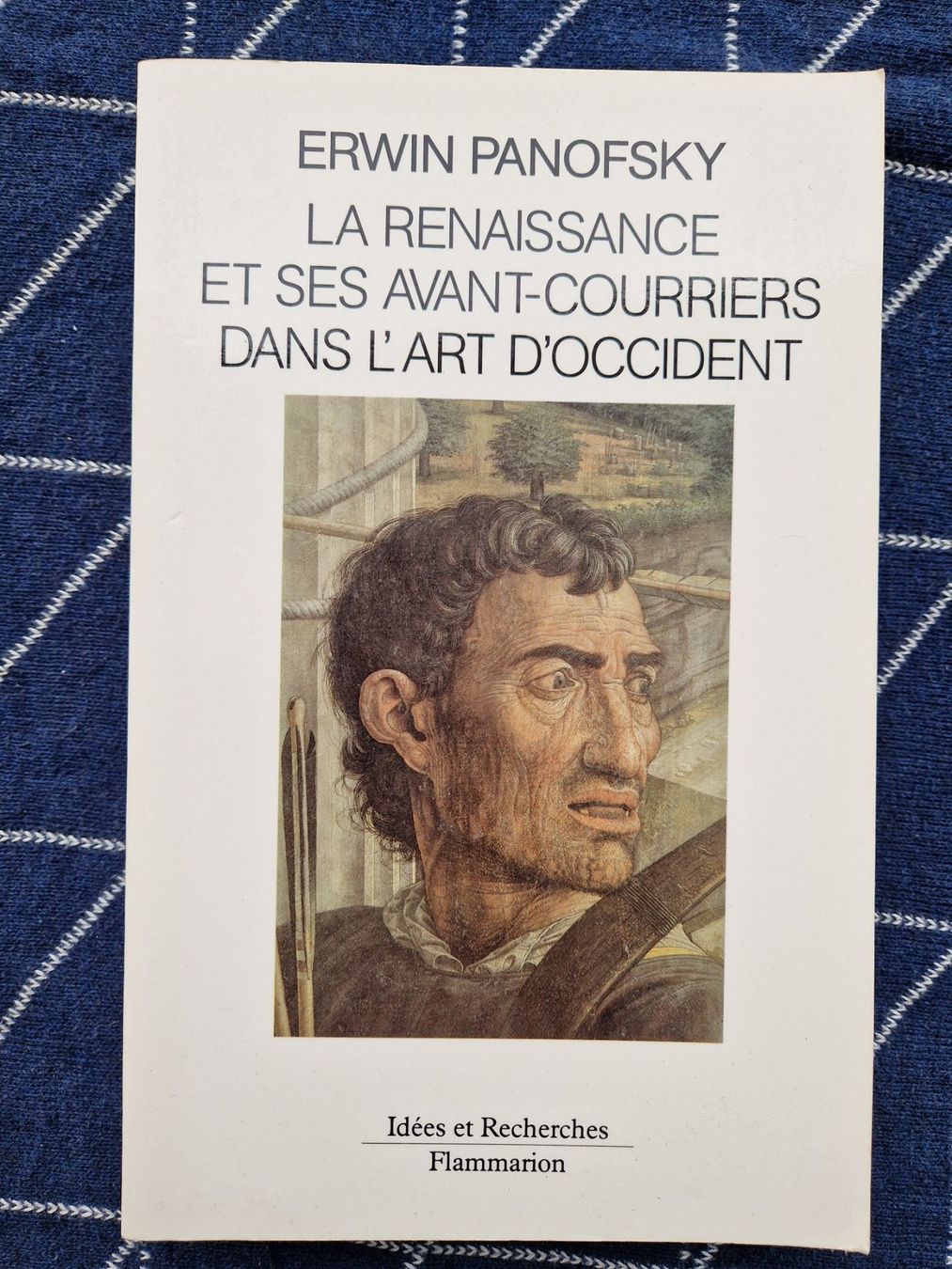 Libri: Buch "La Renaissance et ses avant-..." Erwin Panofsky – Usato da MUEHLAU venduto da ibo_5c7d