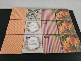 Neu - Servietten - 12 Packungen - 33cm x 33cm