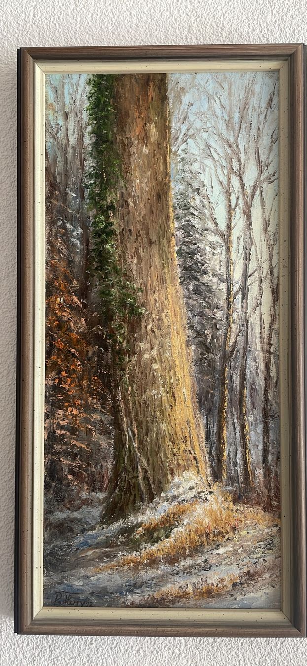 Dipinti: Bild David Flury – Usato da Mollis venduto da haemmis2009