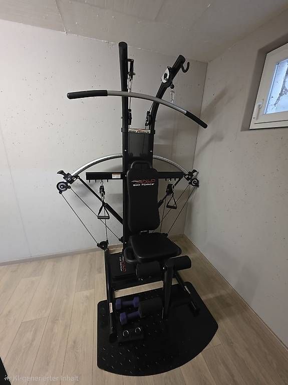 Hometrainer: Kraftstation Finnlo Bio Force – Usato da Scherzingen venduto da Shayandine 2