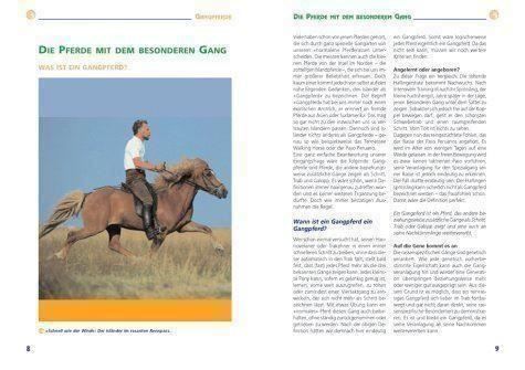 Libri: Ponys & Kleinpferde – Nuovo (secondo la descrizione) da Sarnen venduto da Livres 1