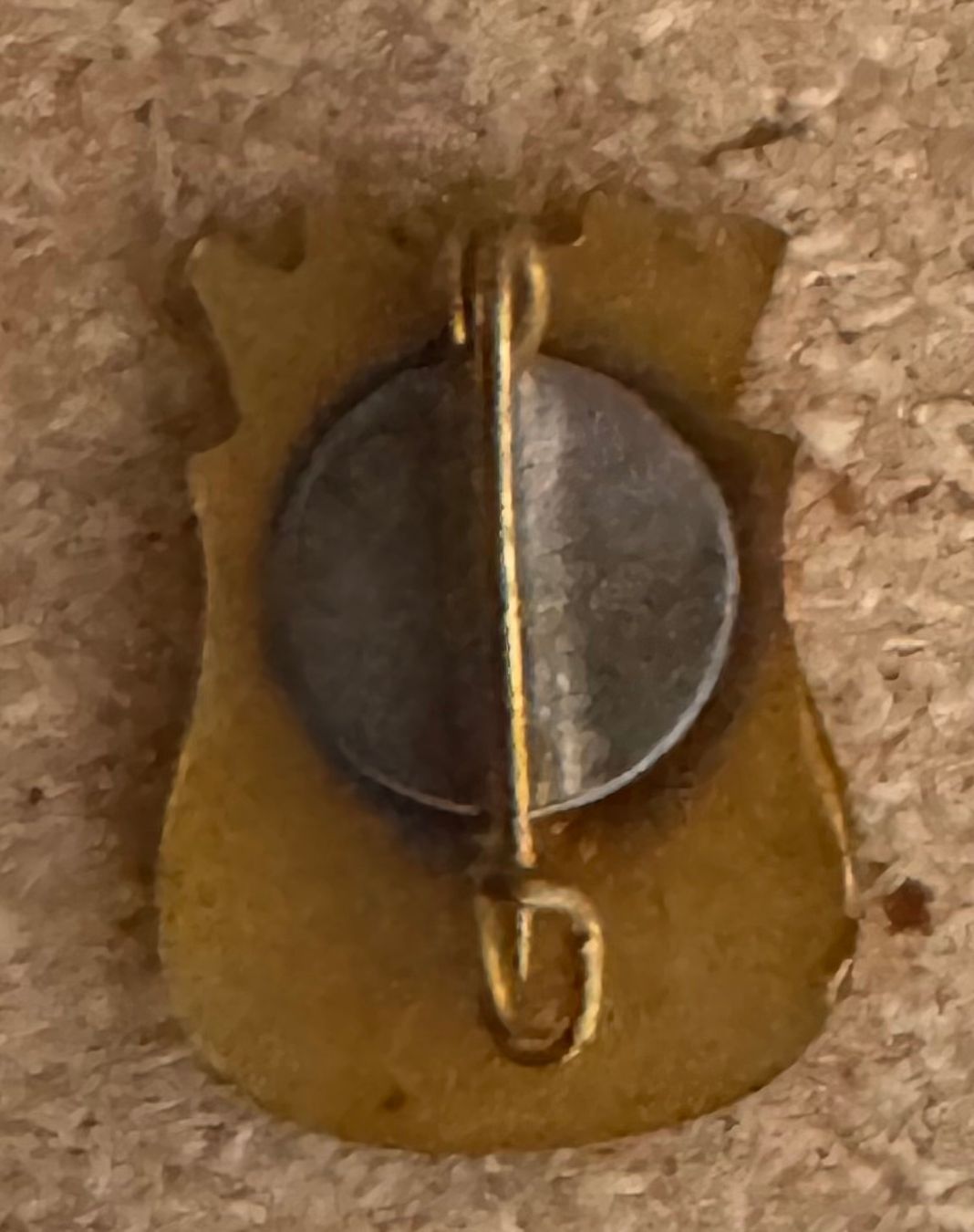 Broschen & Nadeln: Wunderschöne, alte Anstecknadel/ Brosche mit Wappenmotiv – Gebraucht aus Andwil SG von Ariisa1234 1