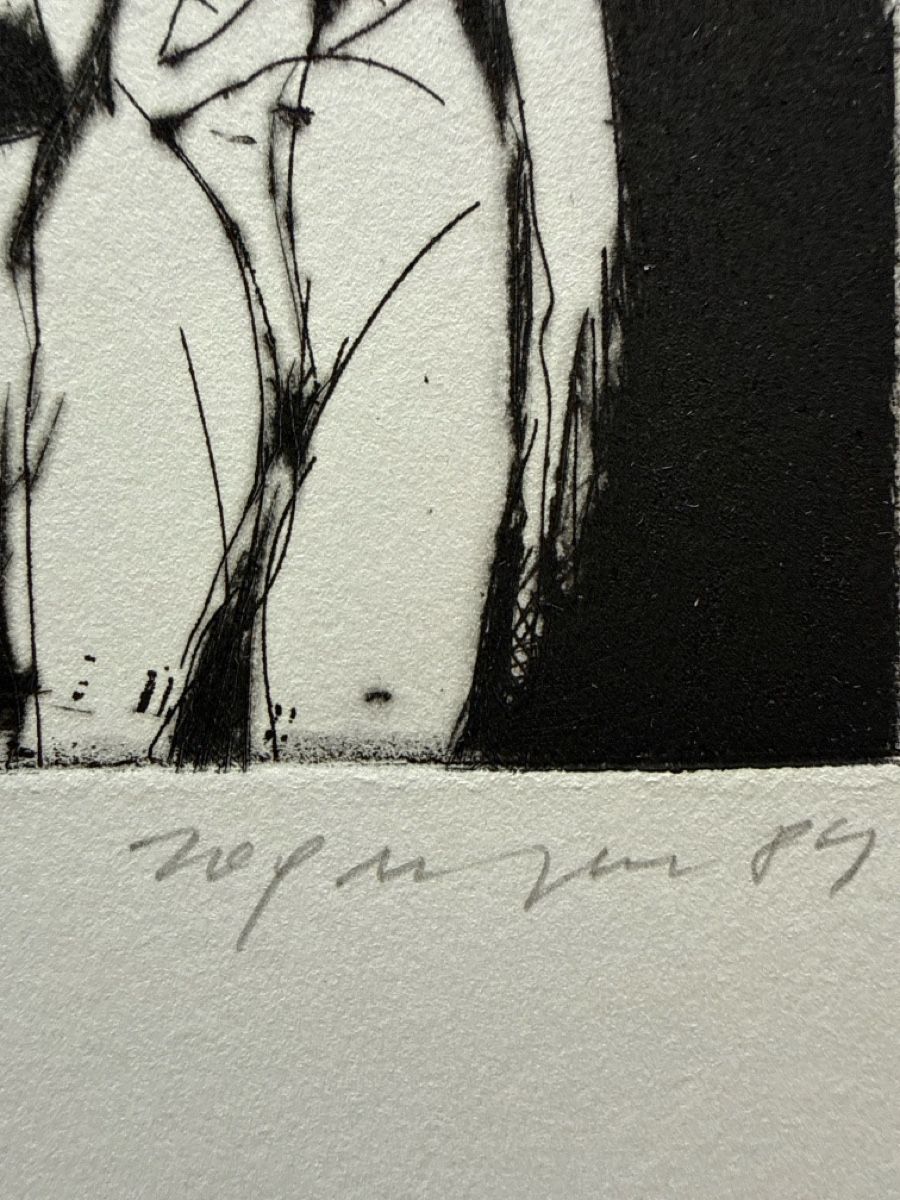 Arts picturaux & lithographies: ZOGMAYER LEO (1947) Medea – D'occasion à Schmitten FR par Hohezelg 1