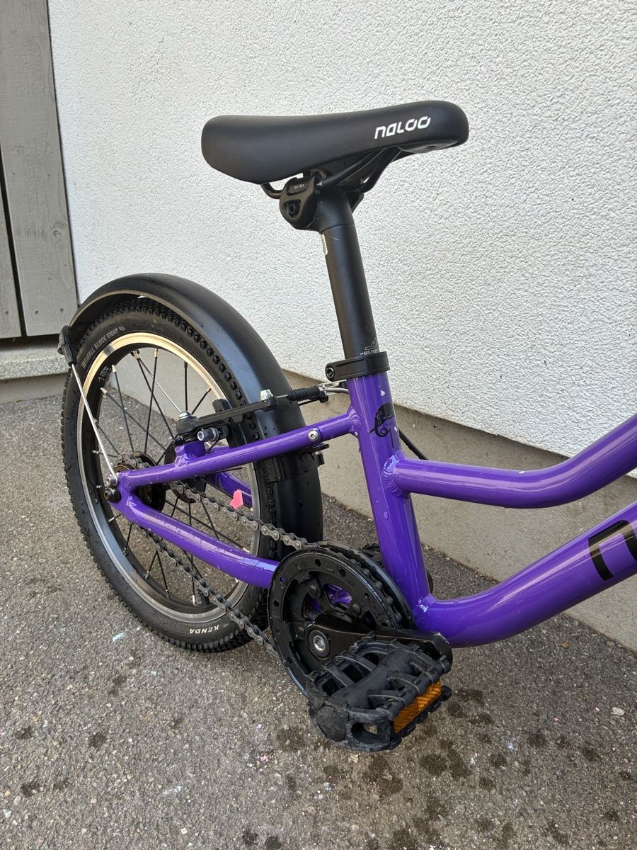Naloo Biciclette: Kindervelo Naloo Chameleon 16 Zoll – Usato da Arlesheim venduto da sim_rue 2
