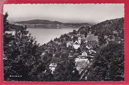 WALCHWIL, 18.7.1950