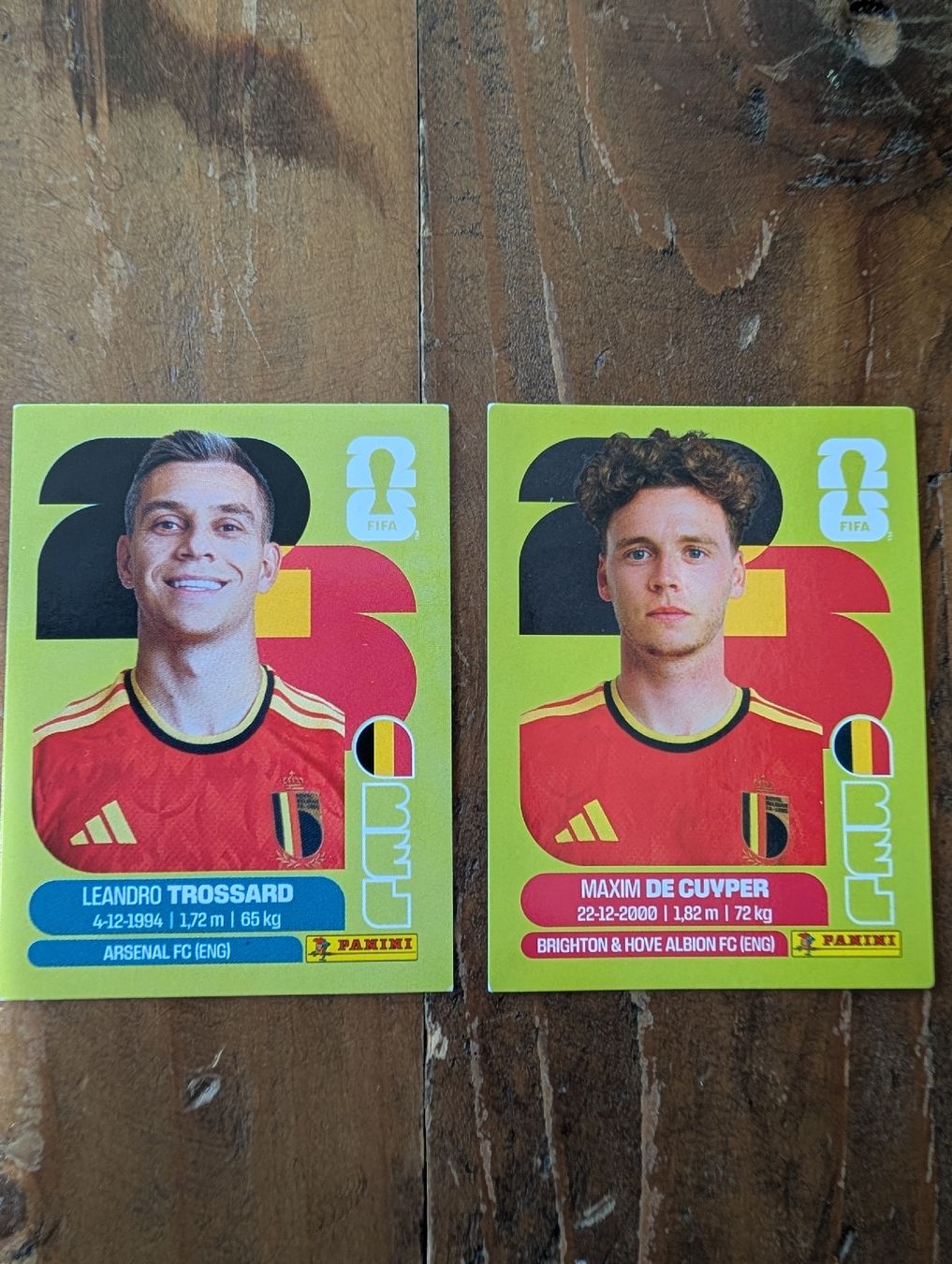 Panini Carte collezionabili: Panini Belgium – Nuovo (secondo la descrizione) da Gebenstorf venduto da fa1zz
