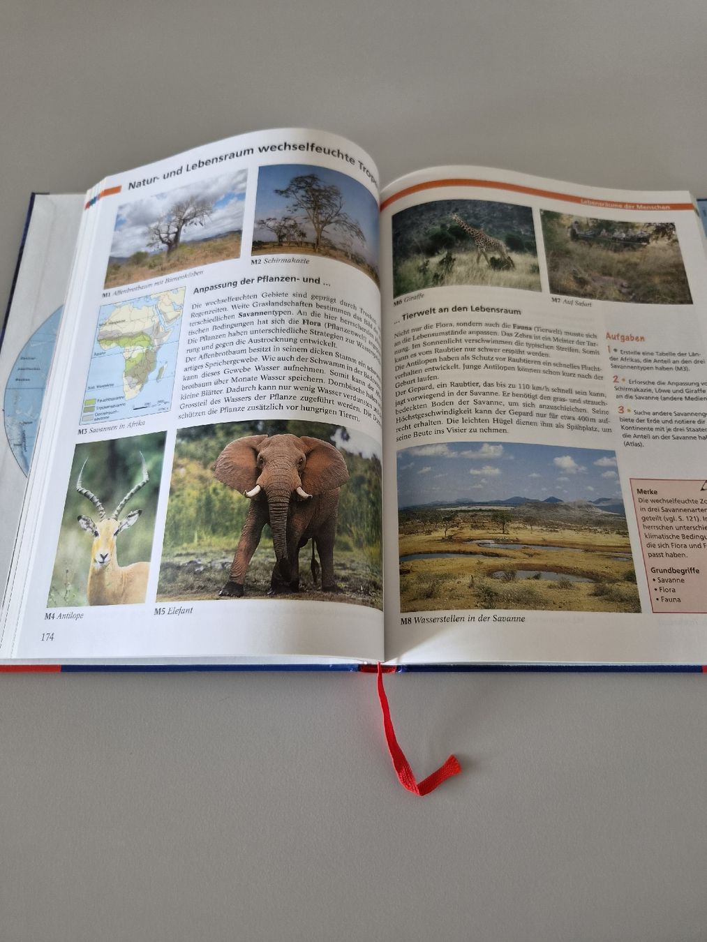 Bücher: Diercke Geografie Sekundarstufe I – Gebraucht aus Steinhausen von Pharo2011 2