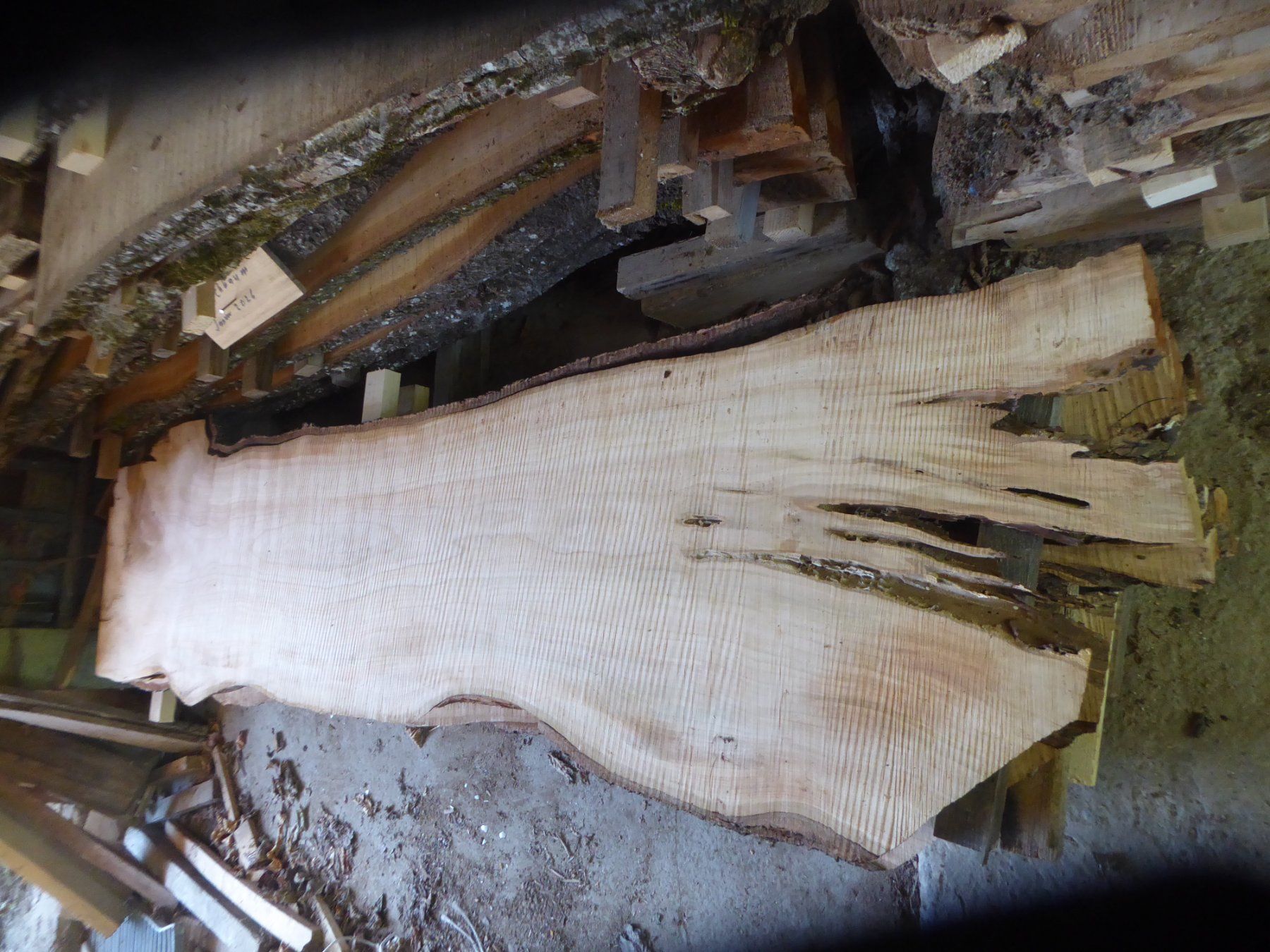 Articoli in legno: Kirschbaumbretter 30 mm – Nuovo (secondo la descrizione) da Sumiswald venduto da Hennri1 1
