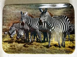 Souvenir Telleli Zebras aus Melanin