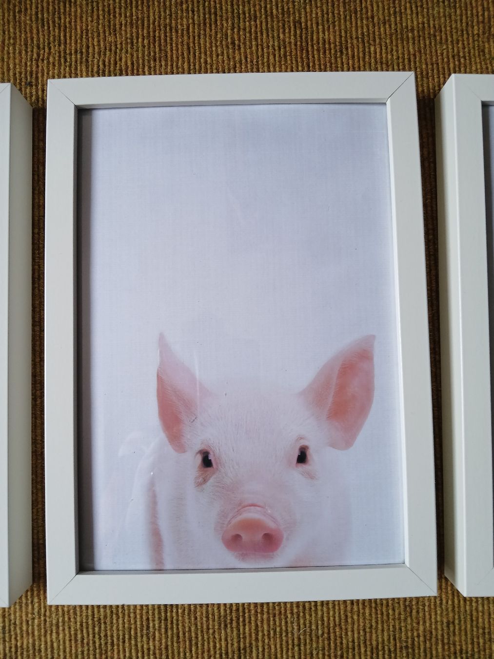 Poster & Bilder: 4 Tierbilder/ Kinderzimmerbilder mit Rahmen – Gebraucht aus Langendorf von bine9 2