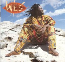 Wes CD Welenga (Universal Consciousness)