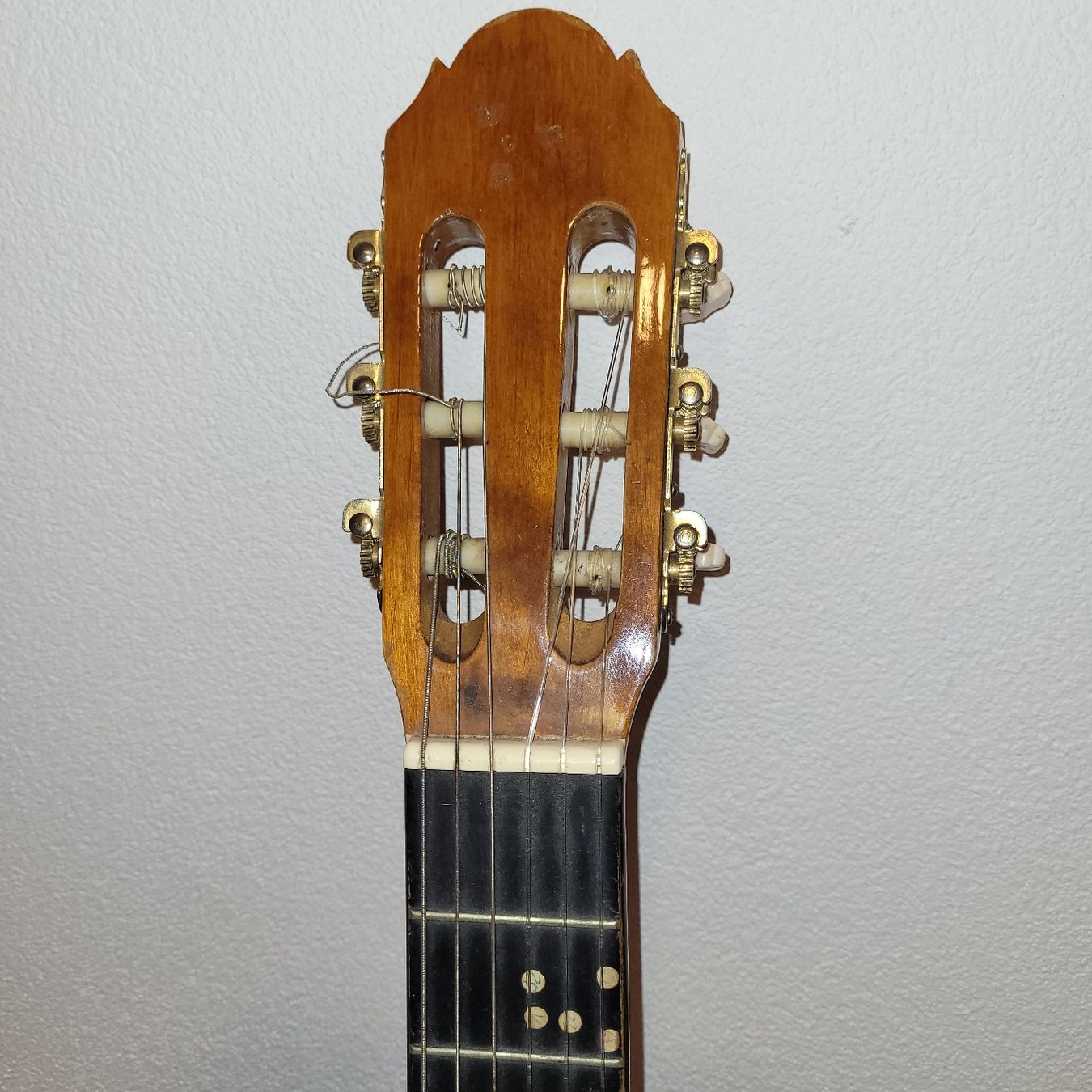 Strumenti musicali: gitarre instrument – Usato da Reichenburg venduto da AK307 4