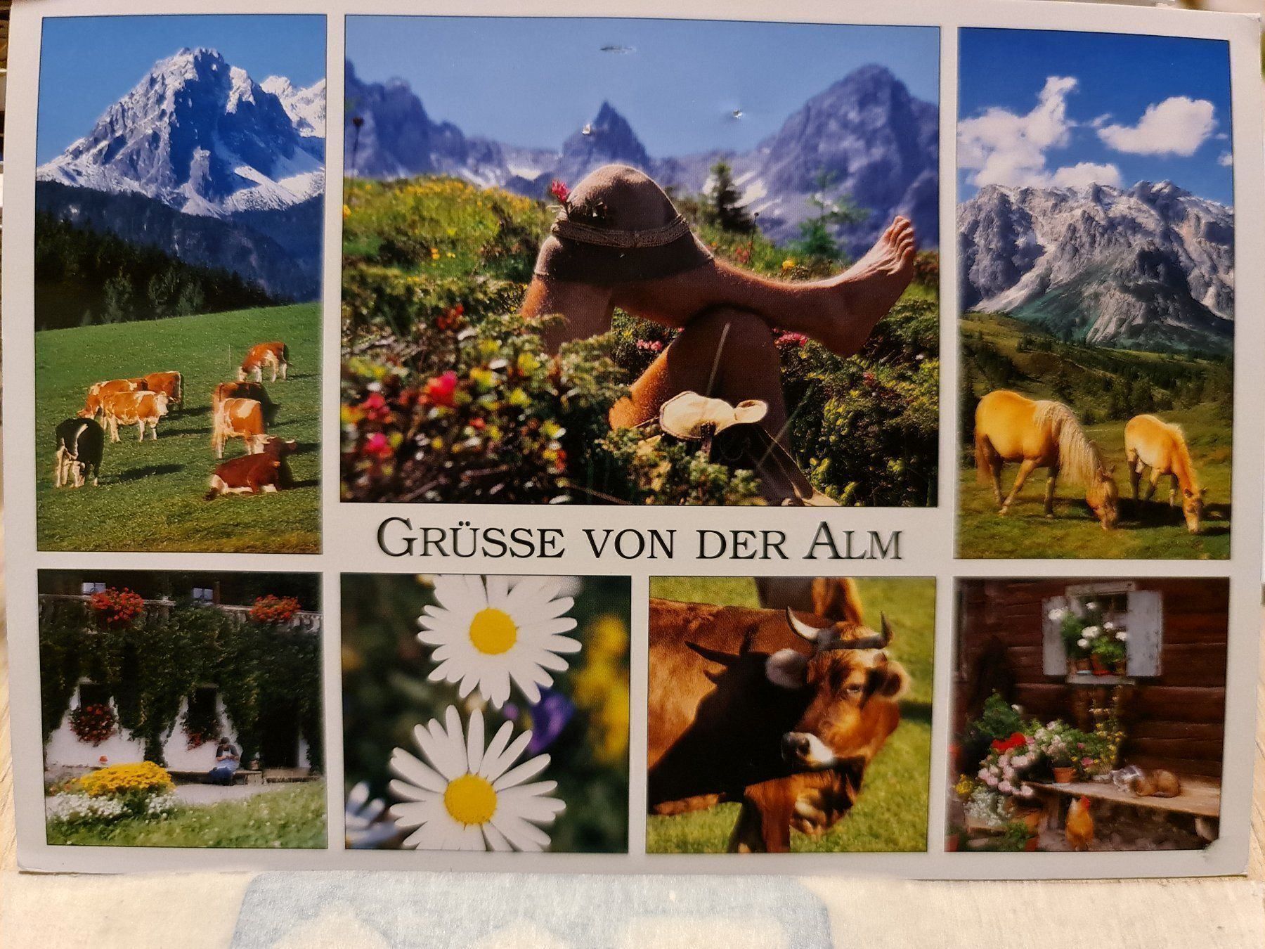 Cartoline postali: Ansichtskarte Grüsse von der Alm österreich – Usato da Dintikon venduto da Vexi