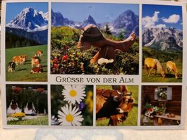 Ansichtskarte Grüsse von der Alm österreich