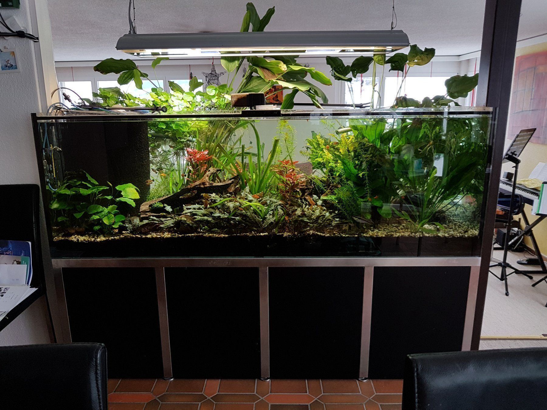 Lampade: Aquarium Lampe Riga Aqua Connect – Usato da Ennetmoos venduto da Eddieinoz 4