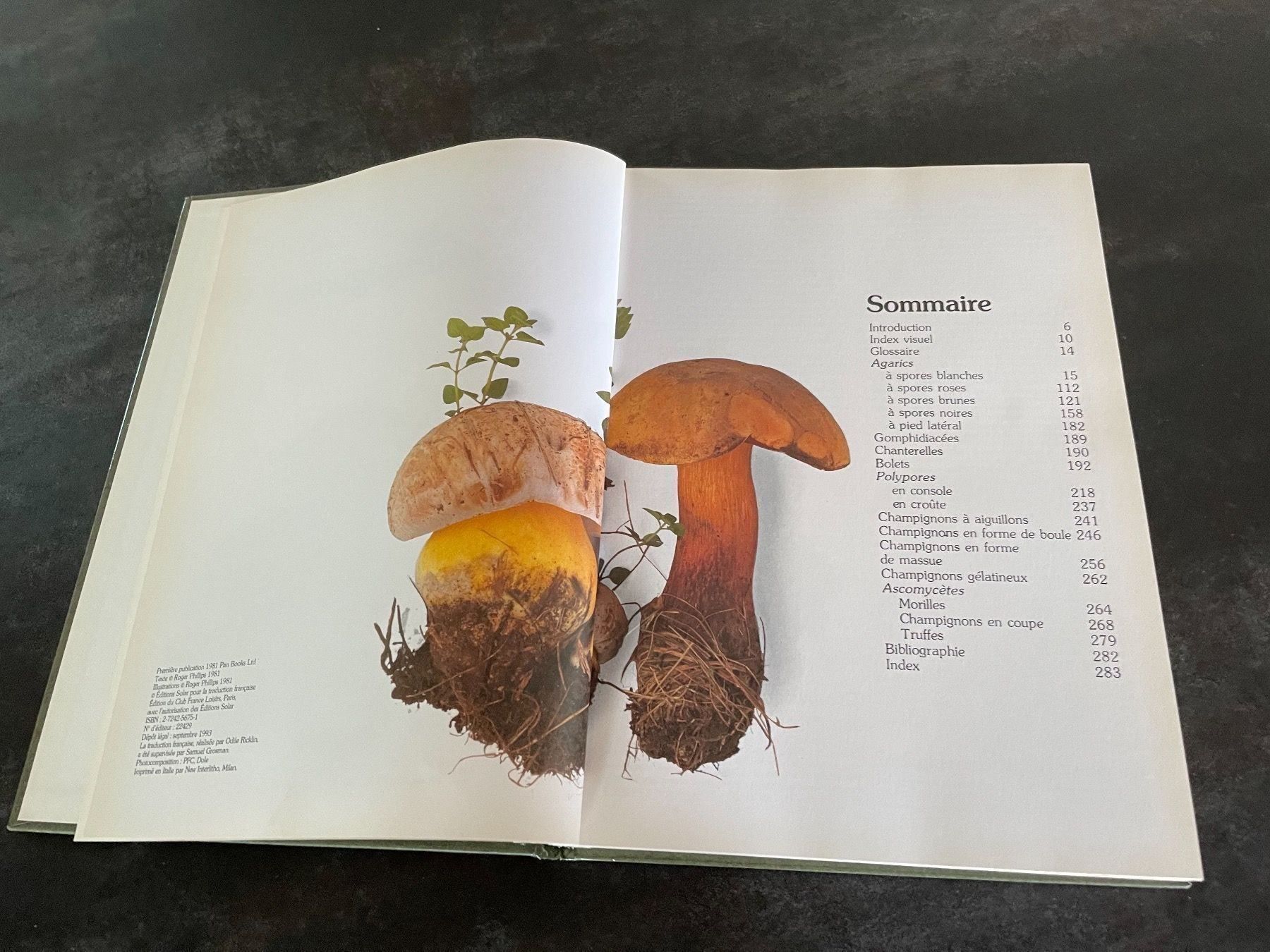 Bücher: Livre Les Champignons Roger Phillips – Gebraucht aus Vallamand von Bricbracbroc82 2