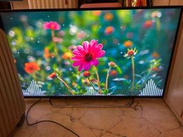 Panasonic Bravia Fernseher LED Modell akzeptabler Zustand